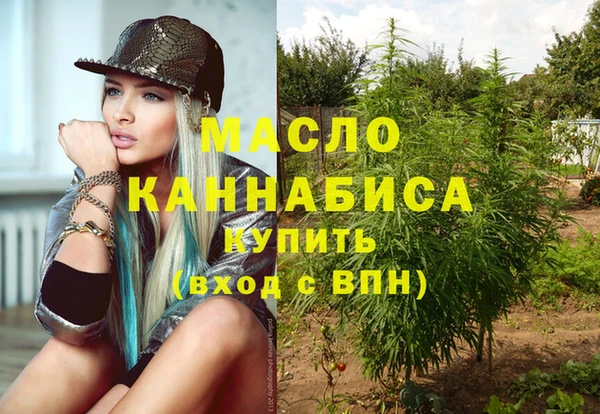 дмт Сясьстрой