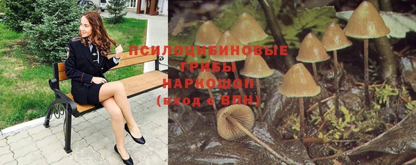 марки nbome Тайга