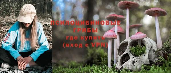 марки nbome Тайга