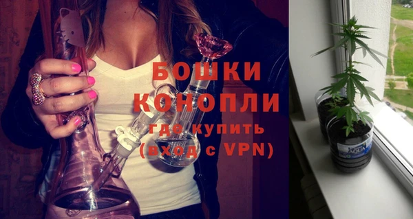 дмт Сясьстрой