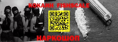мет Кингисепп