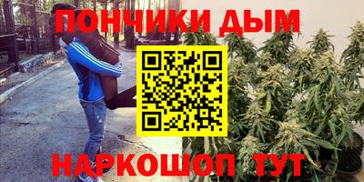амф Кимры