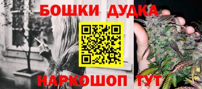 мет Кингисепп