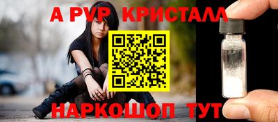 стафф Кинель