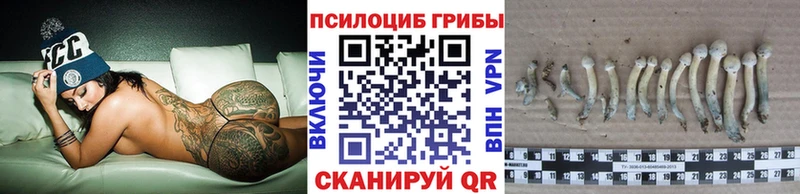 цена   Новосибирск  Галлюциногенные грибы Psilocybe 