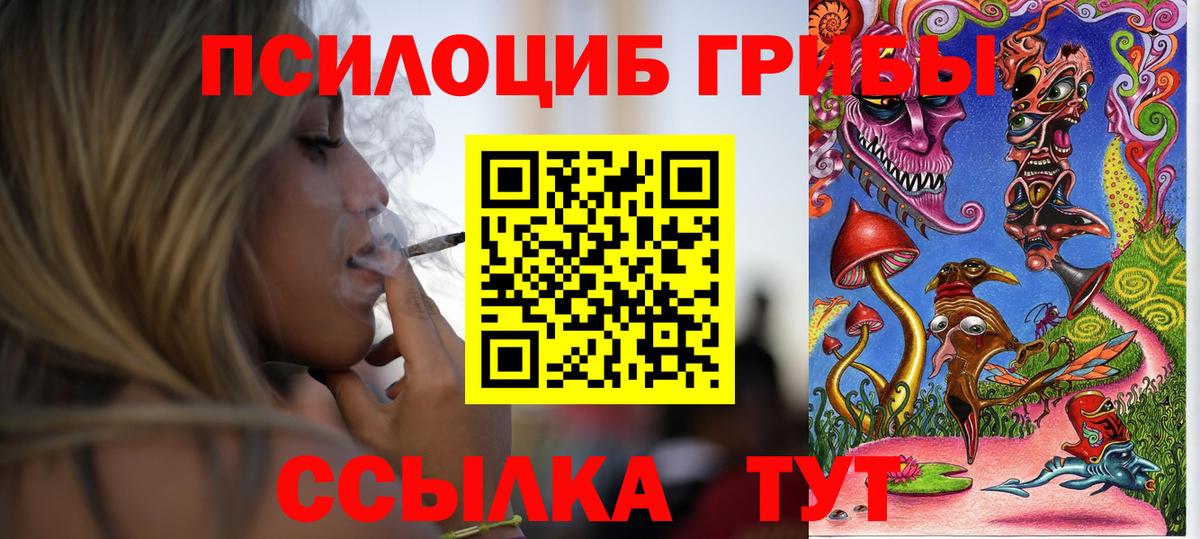 Новосибирск  Галлюциногенные грибы Psilocybine cubensis  где купить наркотик  Галлюциногенные грибы мухоморы  Вход с VPN 